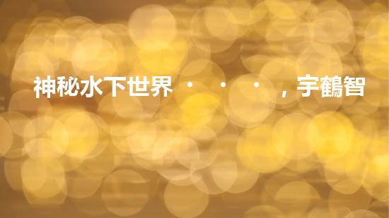 神秘水下世界，宇鶴智能清洗機(jī)器人揭開面紗！